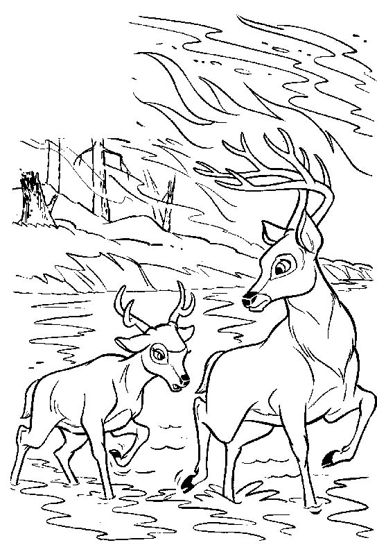 Coloriages bambi 63