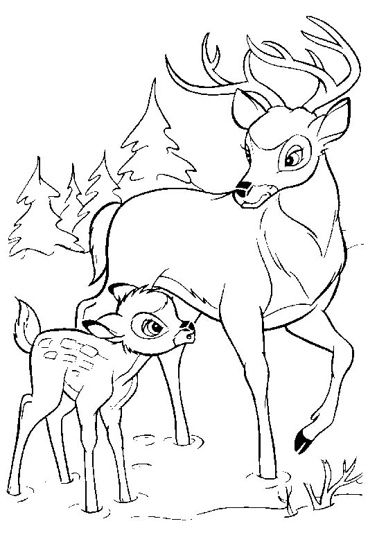 Coloriages bambi 67