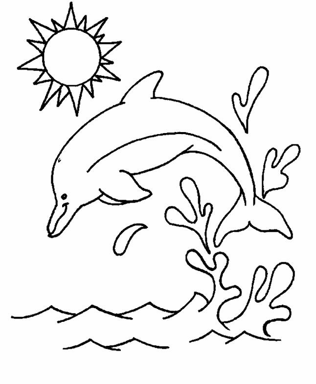 Coloriages dauphins 20