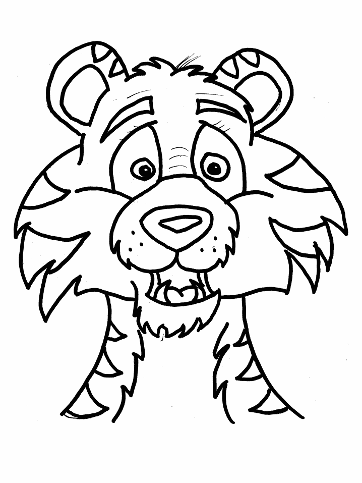 Coloriages tigre 1