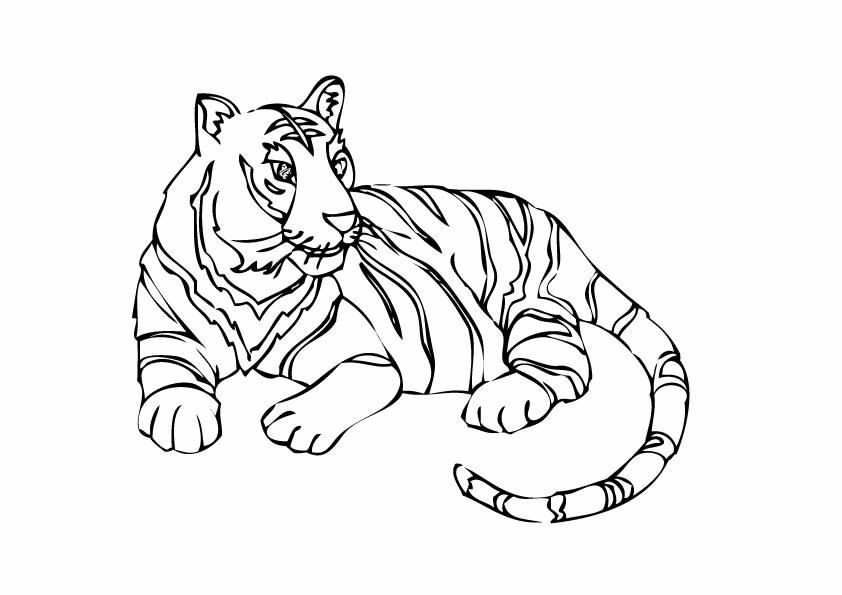 Coloriages tigre 15