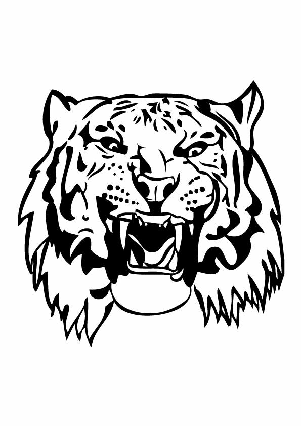 Coloriages tigre 16