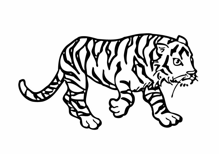 Coloriages tigre 18