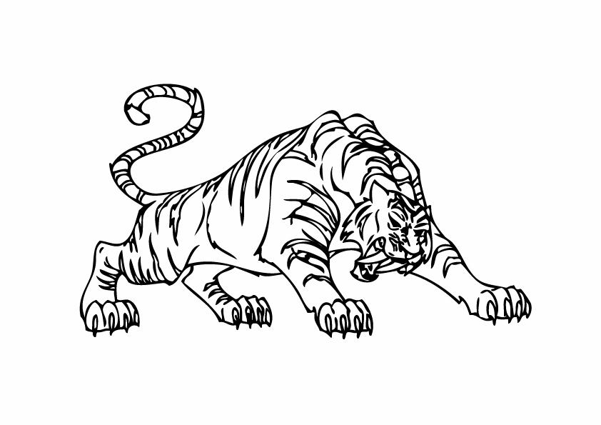 Coloriages tigre 22