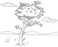 Coloriages africains 6
