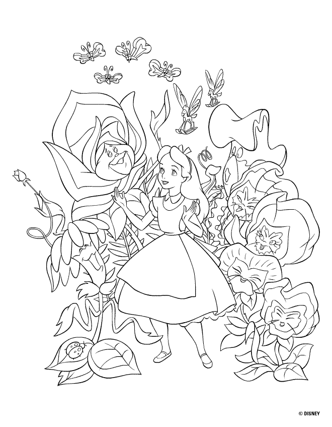 Coloriages alice 4