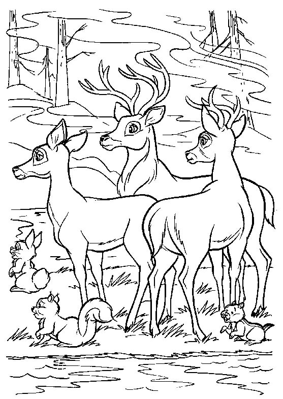 Coloriages bambi 61