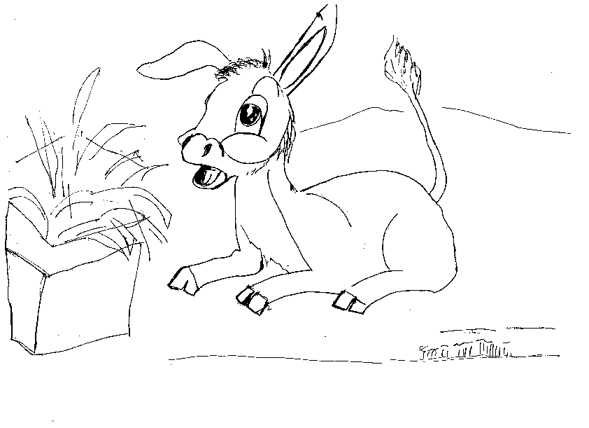 Coloriages bourriquet 16