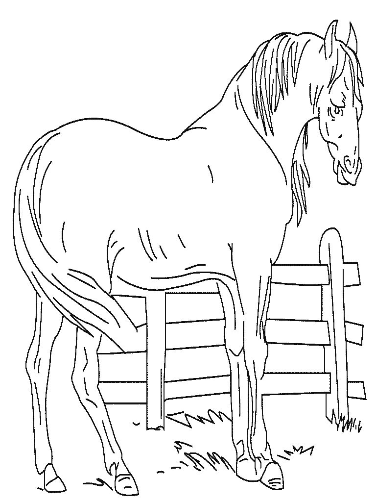 Coloriages cheval 18