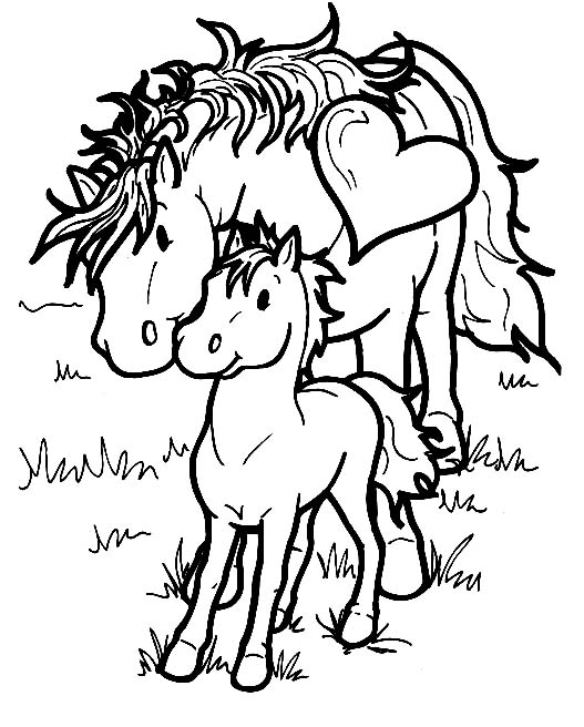 Coloriages cheval 6