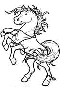 Coloriages cheval 20