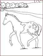 Coloriages cheval 26