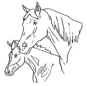 Coloriages cheval 32