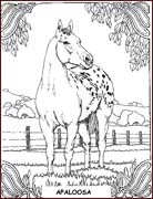 Coloriages cheval 39