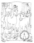 Coloriages cheval 56