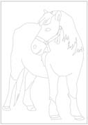 Coloriages cheval 57