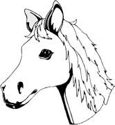 Coloriages cheval 65