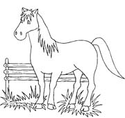 Coloriages cheval 80