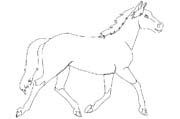 Coloriages cheval 82