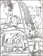 Coloriages cheval 84