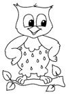 Coloriages chouette 6