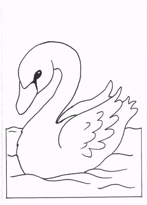 Coloriages cygne 2