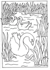 Coloriages cygne 1