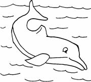 Coloriages dauphins 16