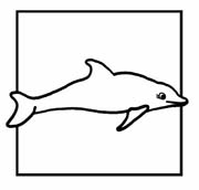 Coloriages dauphins 17