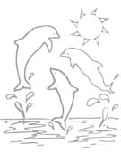 Coloriages dauphins 22