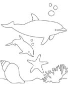 Coloriages dauphins 23