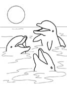 Coloriages dauphins 34