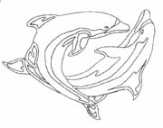 Coloriages dauphins 5