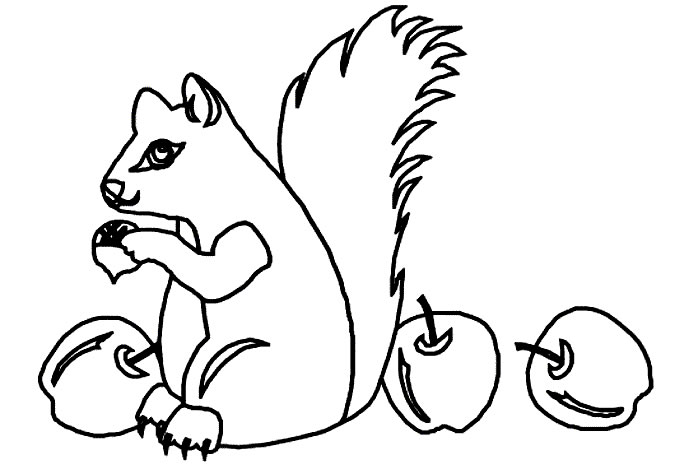 Coloriages ecureuils 2