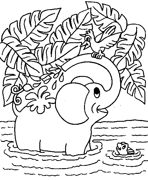Coloriages elephants 18