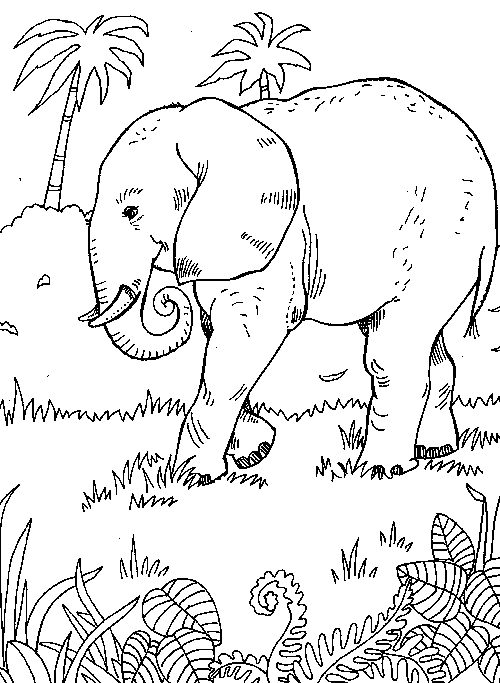 Coloriages elephants 19