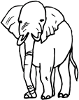 Coloriages elephants 15
