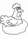 Coloriages oiseaux 13