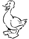Coloriages oiseaux 16