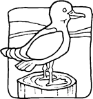 Coloriages oiseaux 20