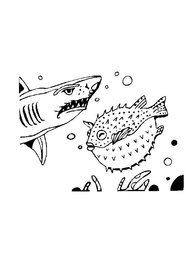 Coloriages requin 1