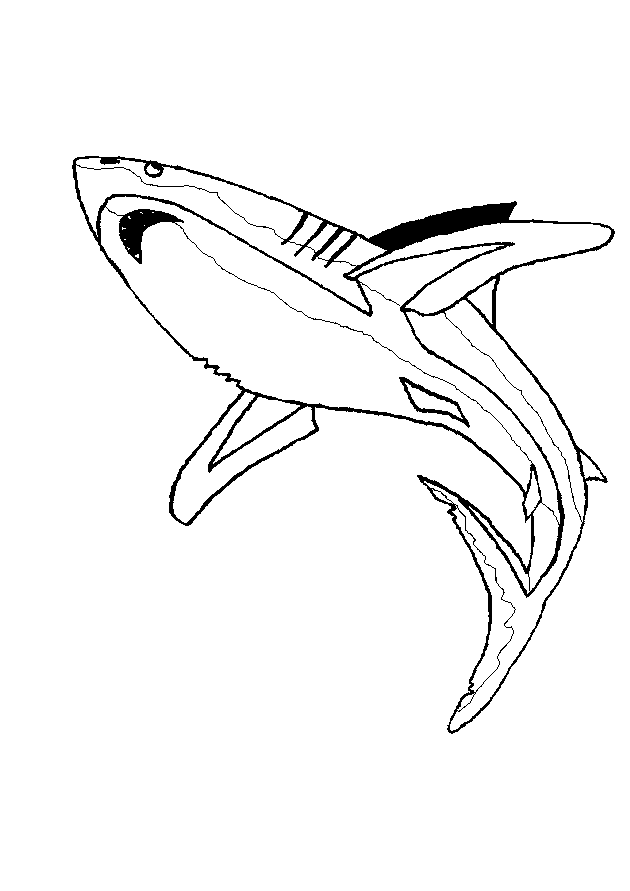Coloriages requin 2