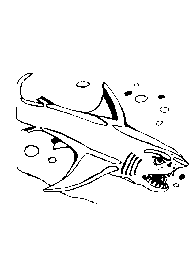 Coloriages requin 3