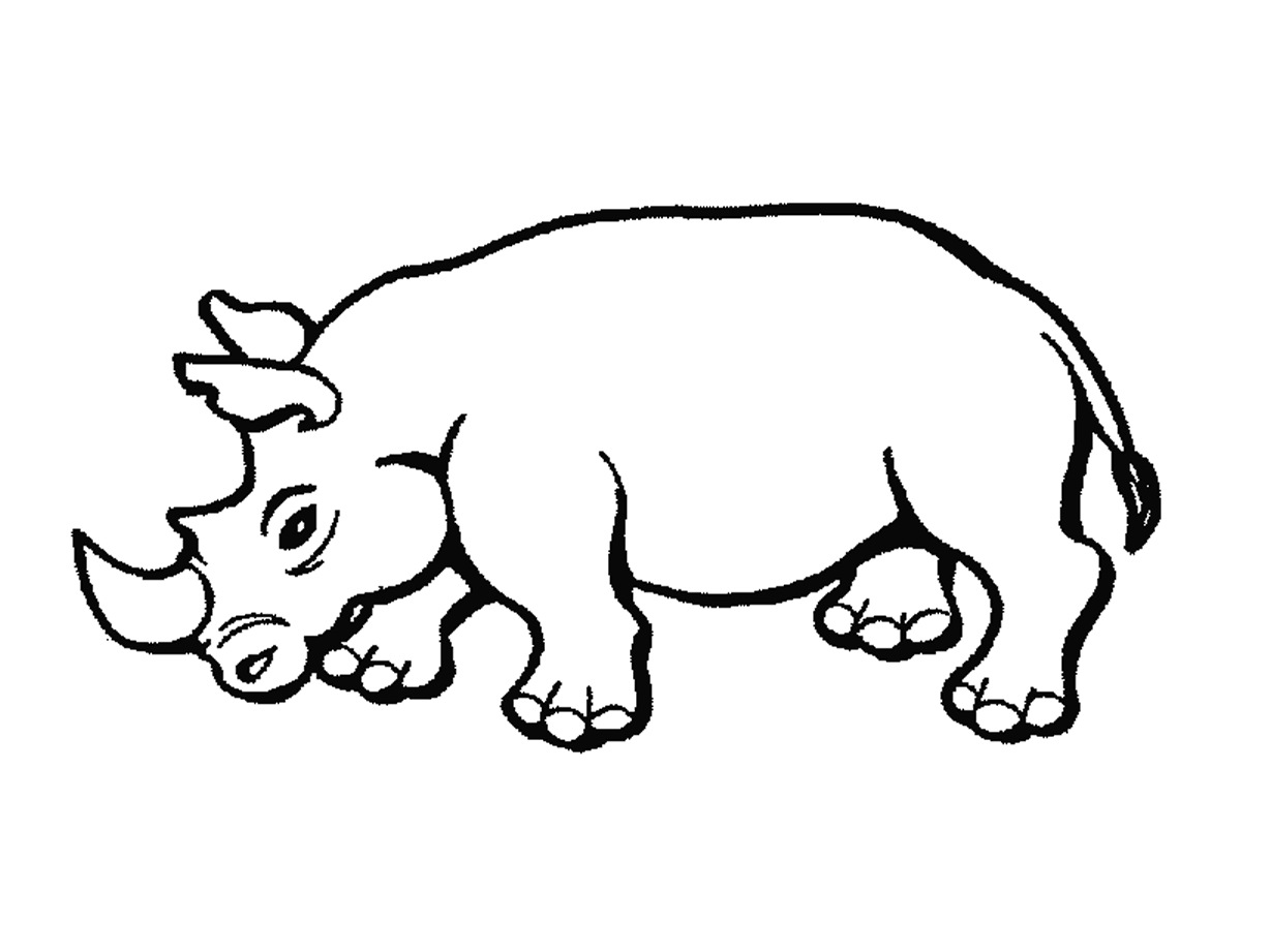 Coloriages rhinoceros 5