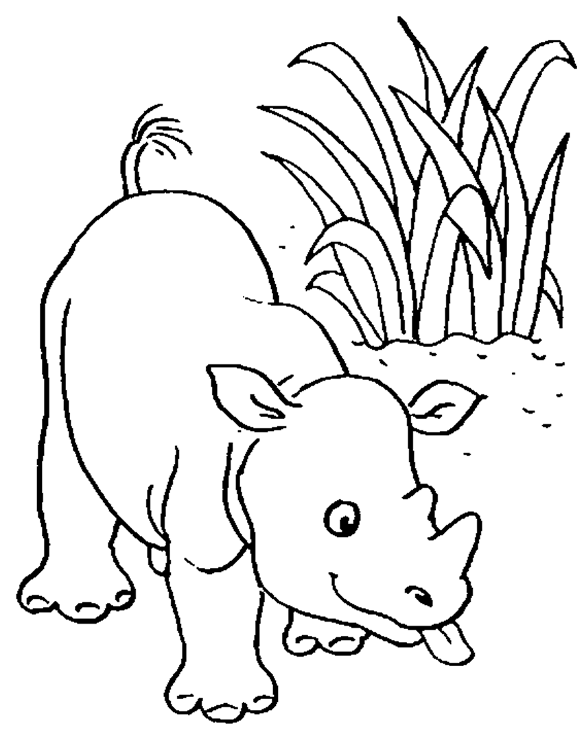 Coloriages rhinoceros 6